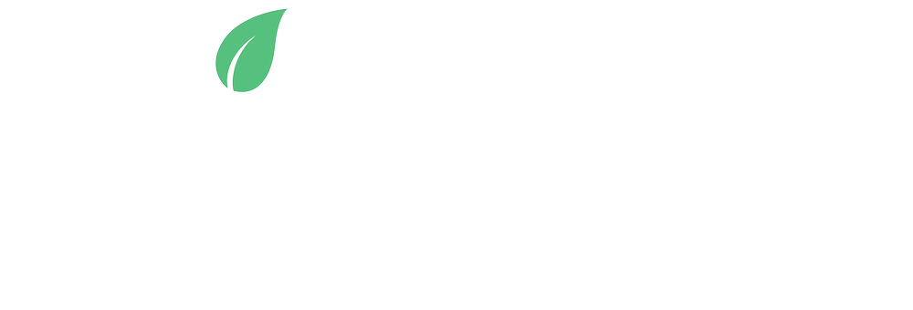 Lieef